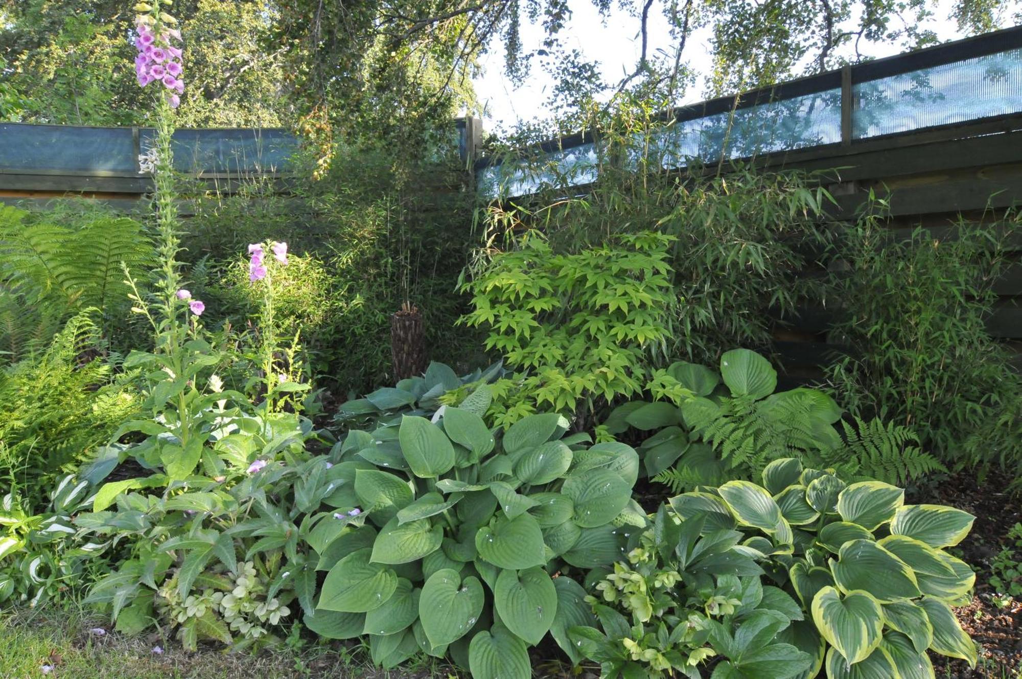 Home Farm Bed And Breakfast Muir of Ord Extérieur photo